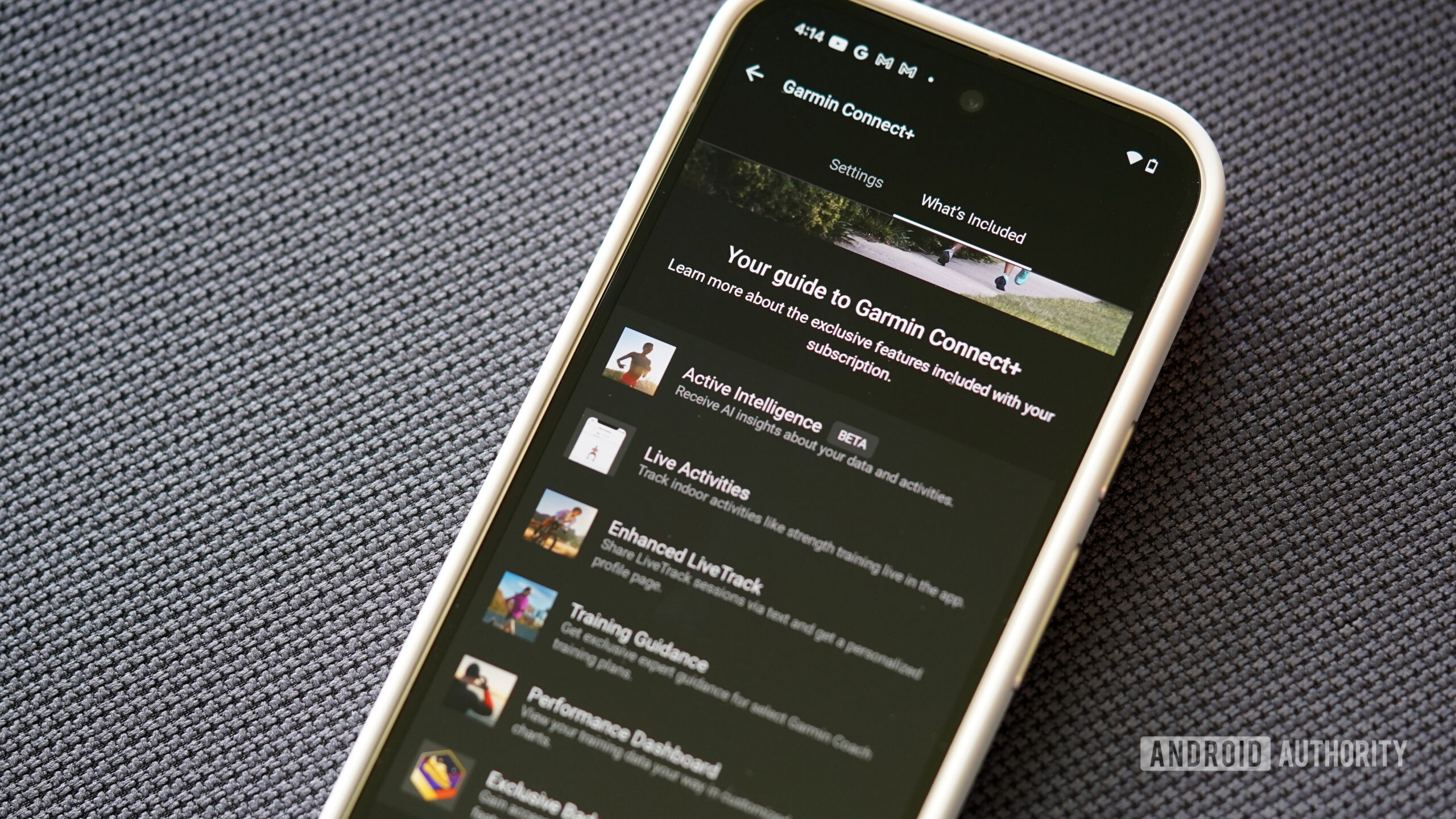 Garmin Connect Plus is not really worth the price just yet, if you ask me