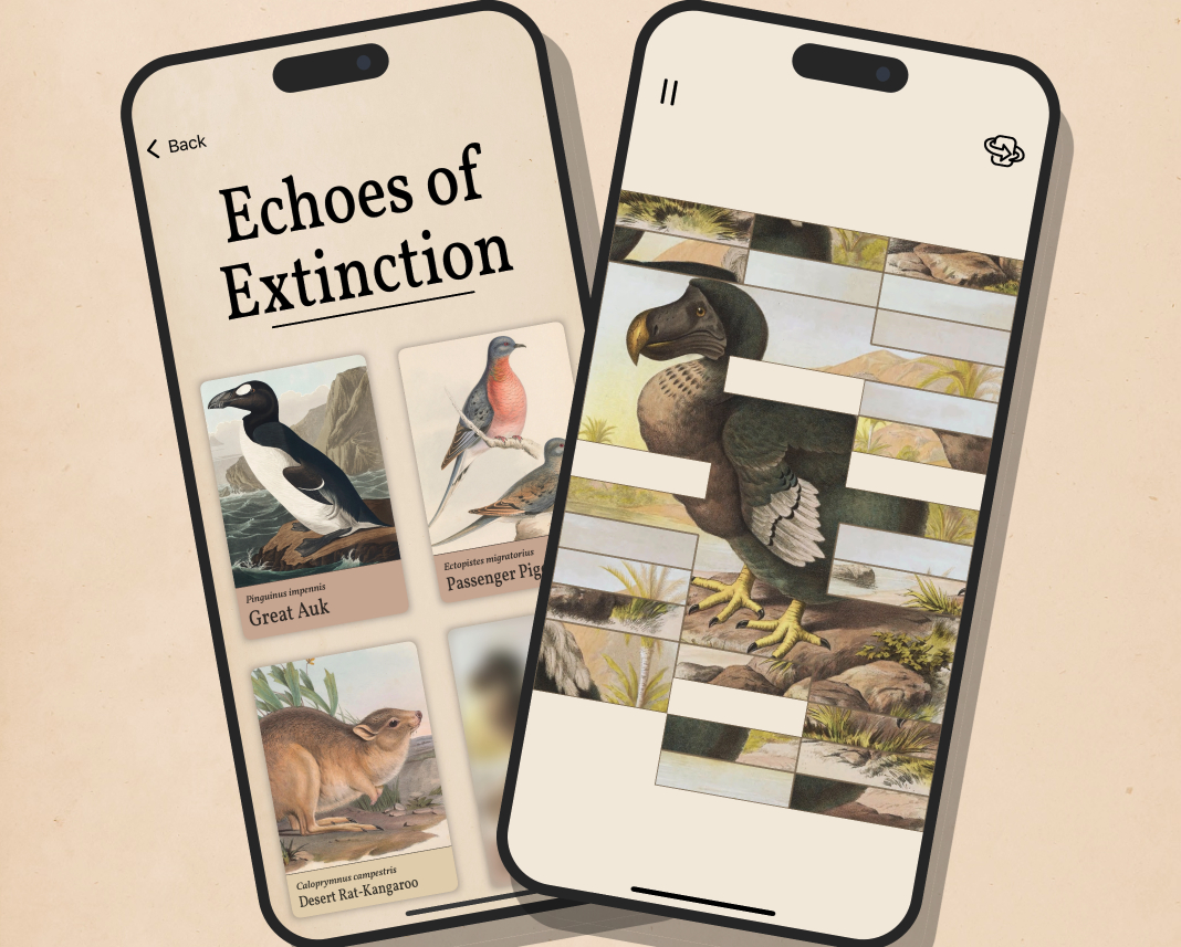One of the Best Puzzlers of 2025, The Art of Fauna, Receives Great Update for Earth Day