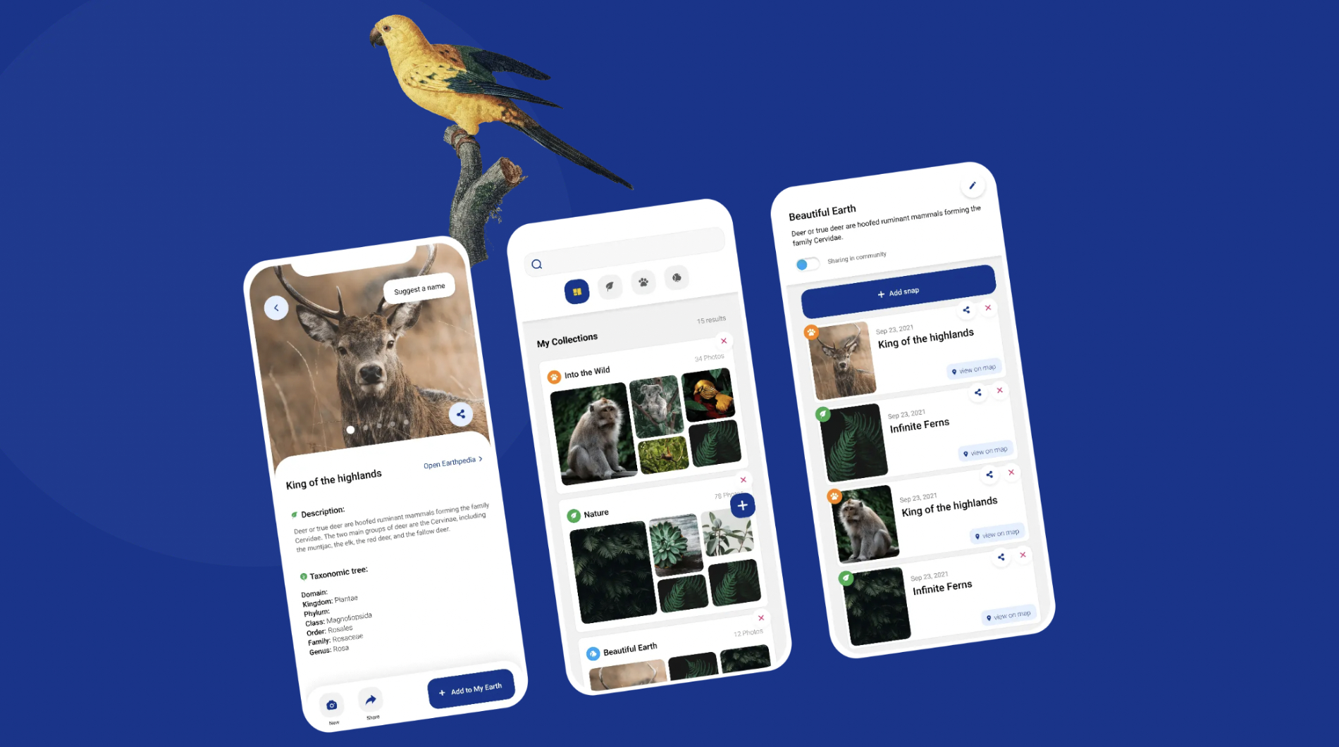 EarthSnap Brings Nature into Focus as You Scan, Identify, and Learn Instantly